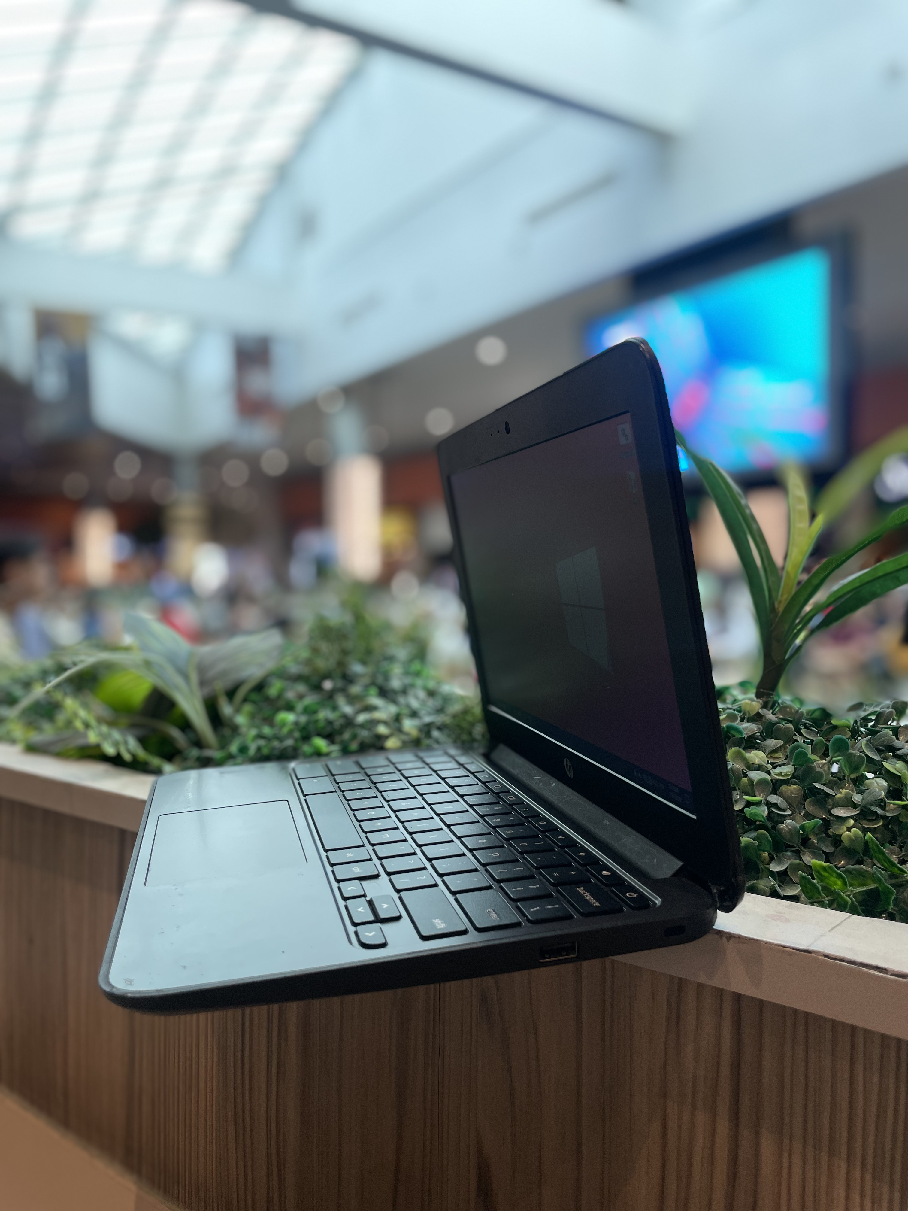 Laptop Normal